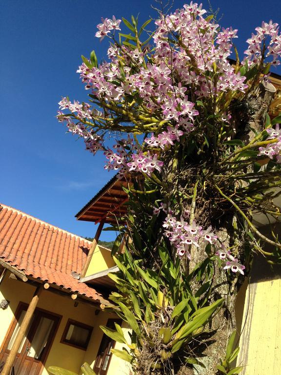 ホテル Morada Do Gabriel Guarda do Embaú エクステリア 写真